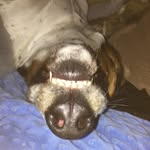 Makayla Evans - @makayl_2008 - Instagram