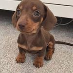 Makayla Grant - @of.witch.badge - Instagram