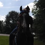 Makayla Grant - @makayla_g.606 - Instagram