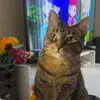 kayla.grayyy - @makayla.grayyy - TikTok