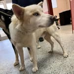 Makayla Meeks - @makayla38016 - Instagram