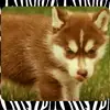 facebook. - @makaylapatrick11 - TikTok
