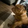 makaylapointer2 - @makaylapointer2 - TikTok