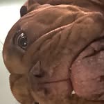 MakaylaPointer - @1uqpva - Instagram