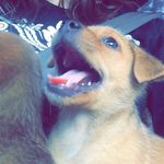 MaKayla Pratt - @mbpratt1234 - Instagram