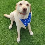 Makayla Ryan - @makaylaryan30 - Instagram