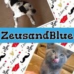 Makayla Shaw Kalie Novay Kiah - @zeusandblue - Instagram