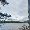 Makayla Simon🐶🐱🏒⛸️ - @makayla.simon2 - TikTok