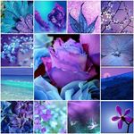 makayla elizabeth stephens - @makaylastephens12 - Instagram