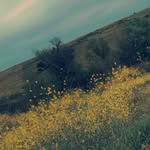 Makayla Stephens - @itz_makayla777 - Instagram