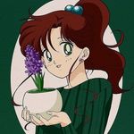 💚⚡ Makoto Kino ⚡💚 - @makotokiinocelestial - Instagram