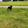 malmorgan2 - @malmorgan2 - TikTok