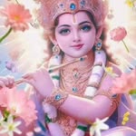 Mala Tripathi - @malaaarti6969 - Instagram