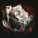 Malachi Bennett - @t.h.e.y.e.e.t.c.l.a.n.1 - Instagram