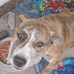 Malachi Bennett - Facebook