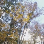 Malachi cox - @malachi8760 - Instagram