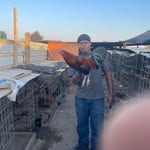 Malachi Curry - @malachigamefowl_559 - Instagram