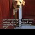 Malachi Fleming - Facebook