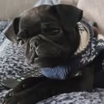Malachi Foster - @captaingameey - Instagram