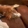 Malachi Hamilton - @malachi.hamilton - TikTok