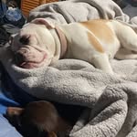 Malachi Henderson - @malachihenderson02 - Instagram