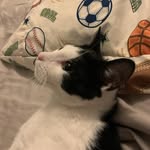 Malachi - @malachi_james_ - Instagram