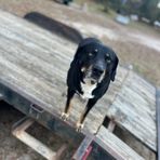 Malachi McClain - Facebook