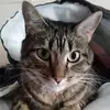malachimills74 - @malachimills74 - TikTok