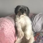 Malachi Nash - @bigtedunited_123 - Instagram