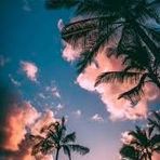 Malachi Ray - Facebook