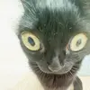 Malakai Rubio - @malakai.rubio - TikTok