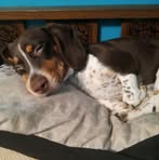 Malachi Small - Facebook