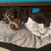 Malachi Small - @malachi.small4 - TikTok