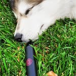 malachi Chifbody - @malachi_snow153 - Instagram