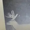 Malachi Stephens - @malachi.stephens1 - TikTok