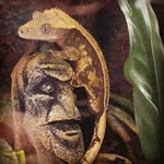 Malachi Tolbert - @tolbertmalachi - Instagram