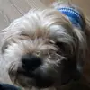 Malachi Tyler - @malachi.tyler7 - TikTok