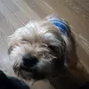 malachityler33 - @malachityler33 - TikTok