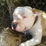 Malachi - @malachi_vasquez - Instagram