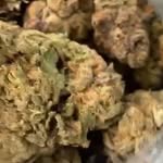 malachi - @malachiwells420 - Instagram