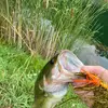 Malachi Wilkins - @bass_fishin_tok - TikTok