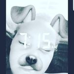malachi wright - @lil_savage_maly - Instagram