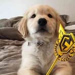 Malachy Cox - Facebook