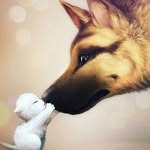 Malachy Fitzpatrick - @bluedragons76 - Instagram