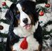 Keegan Madachy - Facebook