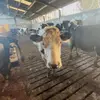 Malachy_Martin - @malachy_martin6465 - TikTok