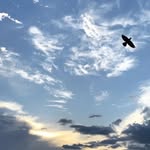 مَـلاك🪽 - @malak.ajami - Instagram