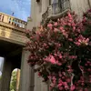 Malak Awad - @malak.awad812 - TikTok