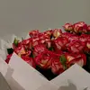 Malak Awad - @malakawad140 - TikTok