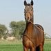 Malik Noman Chajra - Facebook